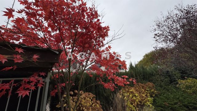 bliźniak, 4 pokoje Wrocław Fabryczna, ul. Gromadzka. Zdjęcie 6