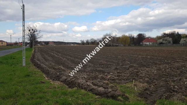 Działka budowlana Leszno. Zdjęcie 5