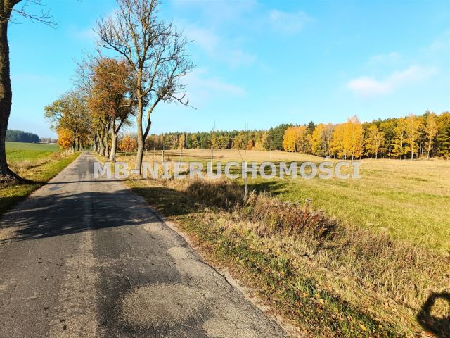 Działka budowlana Gąsiorowo Olsztyneckie. Zdjęcie 4