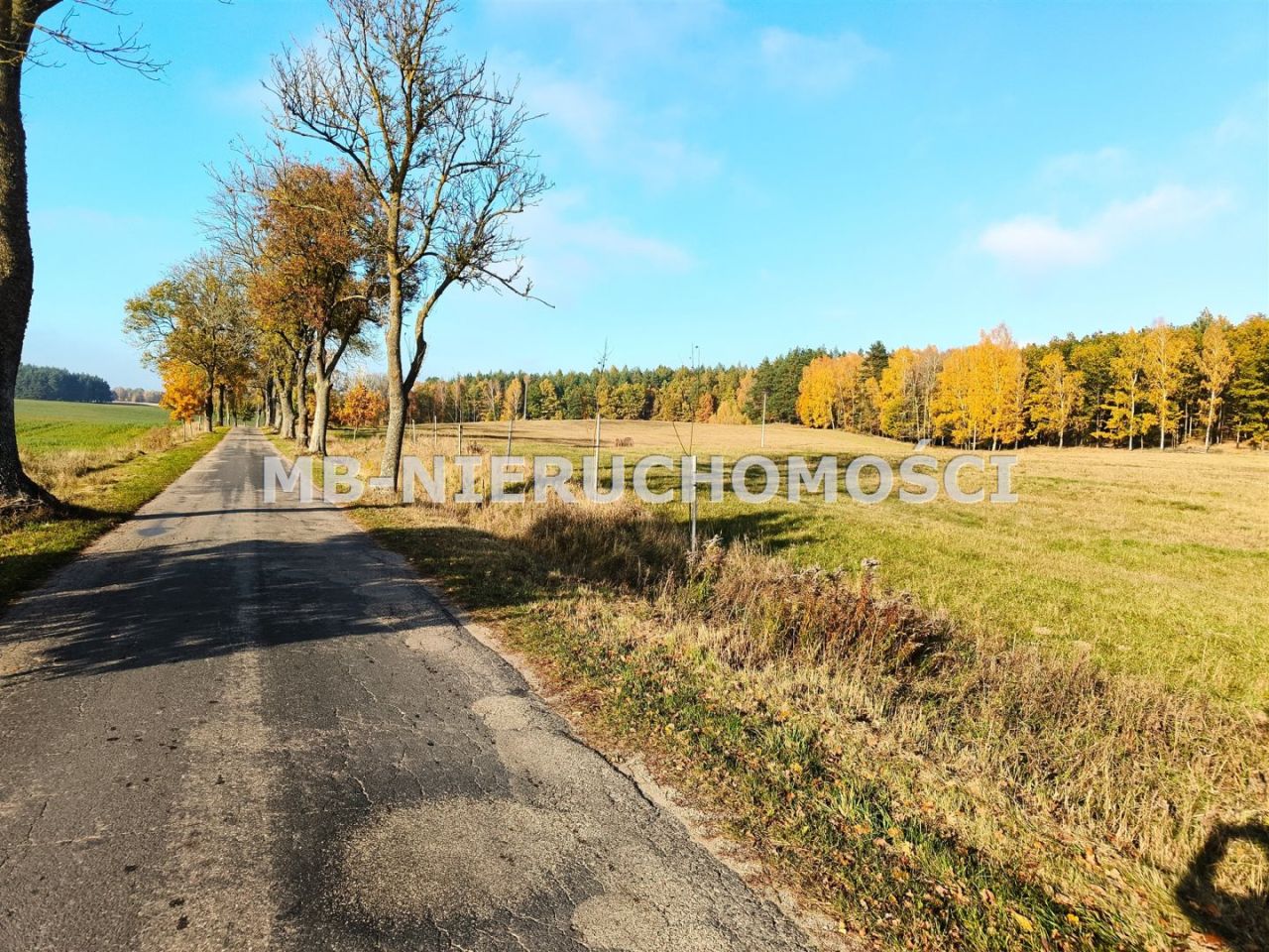 Działka inwestycyjna Gąsiorowo Olsztyneckie. Zdjęcie 4