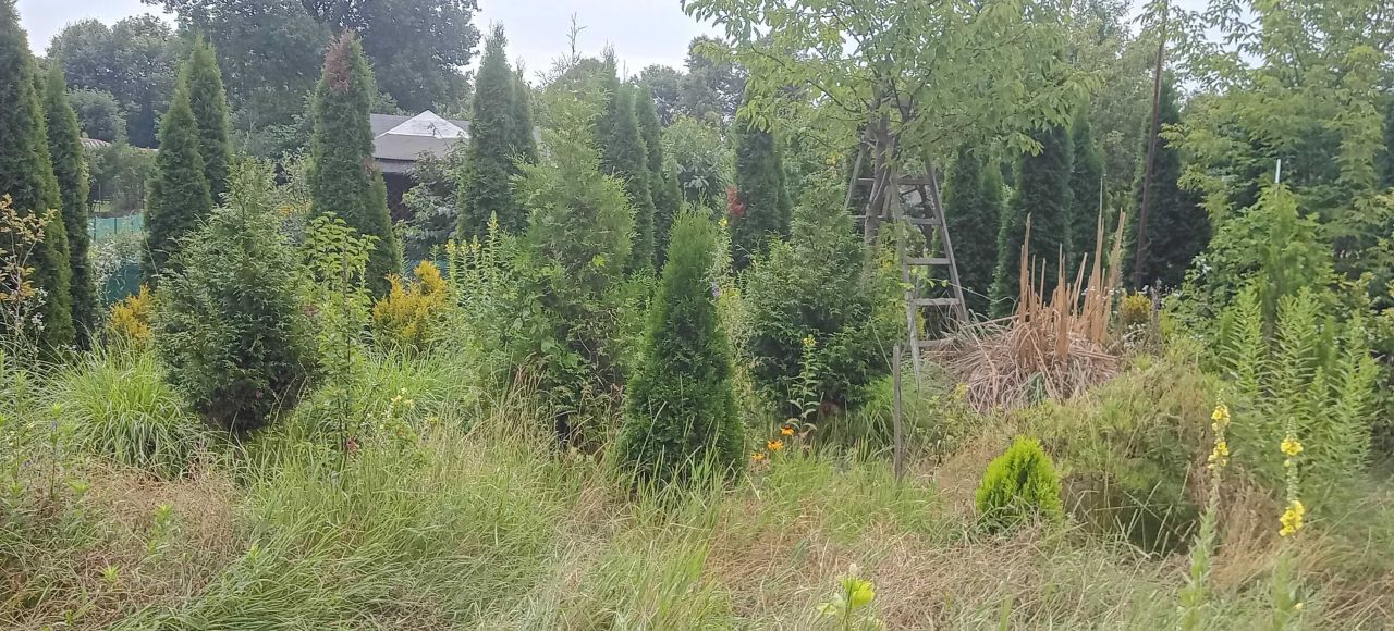 Działka rod Wrocław Krzyki, ul. Wiaduktowa. Zdjęcie 2