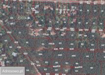 Działka leśna Warszawa Radość. Zdjęcie 1