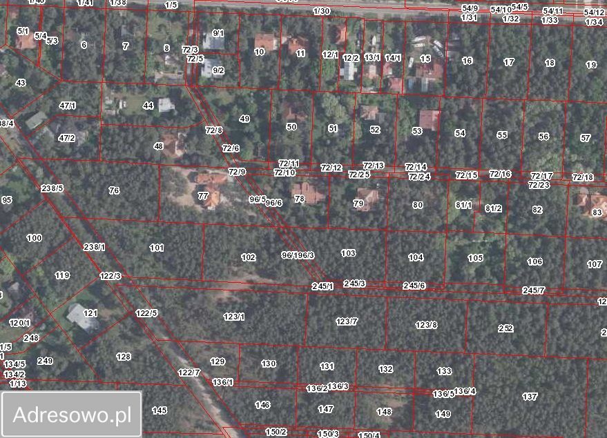 Działka leśna Warszawa Radość. Zdjęcie 2