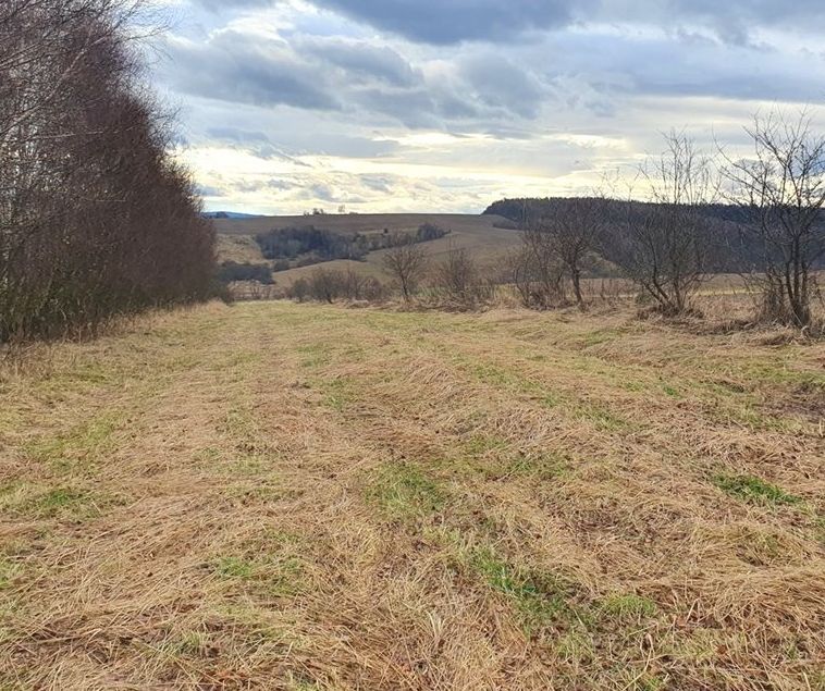 Działka budowlana Polanka Hallera