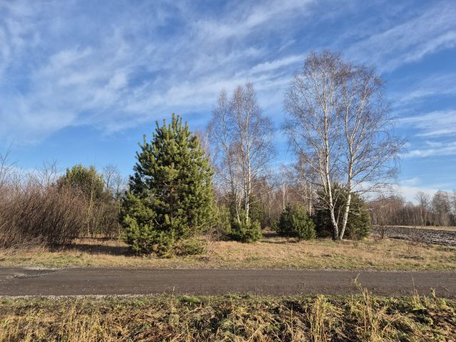 Działka budowlana Grabów nad Pilicą, ul. Kolonia Piaski. Zdjęcie 1