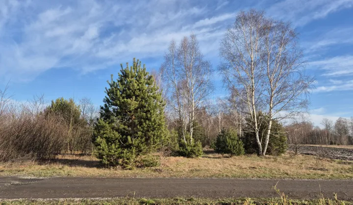 Działka budowlana Grabów nad Pilicą, ul. Kolonia Piaski