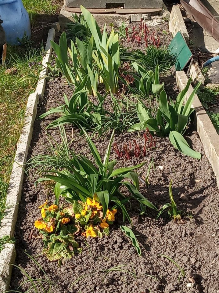 Działka rod Niekanin. Zdjęcie 7