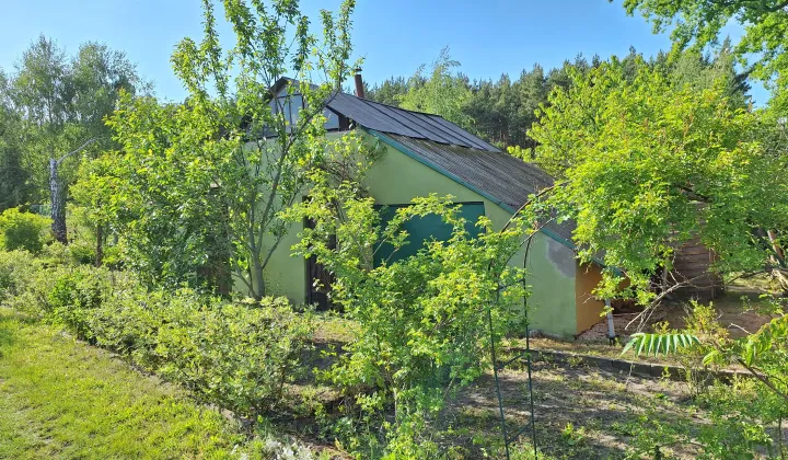 Działka rod Nowa Sól Zatorze, ul. Północna