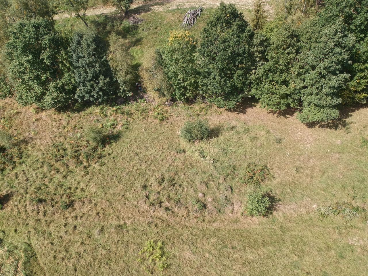 Zdjęcie 8
