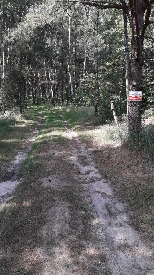 Działka Ostrzeszów. Zdjęcie 5