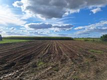 Działka budowlana Czechel. Zdjęcie 1