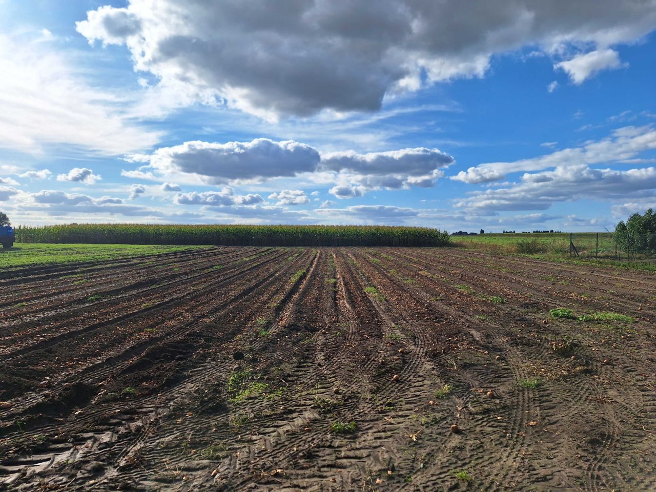 Działka budowlana Czechel. Zdjęcie 2