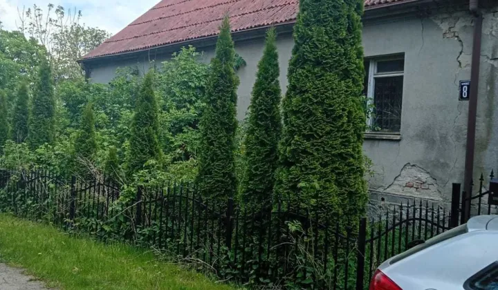 dom wolnostojący Kamieniec