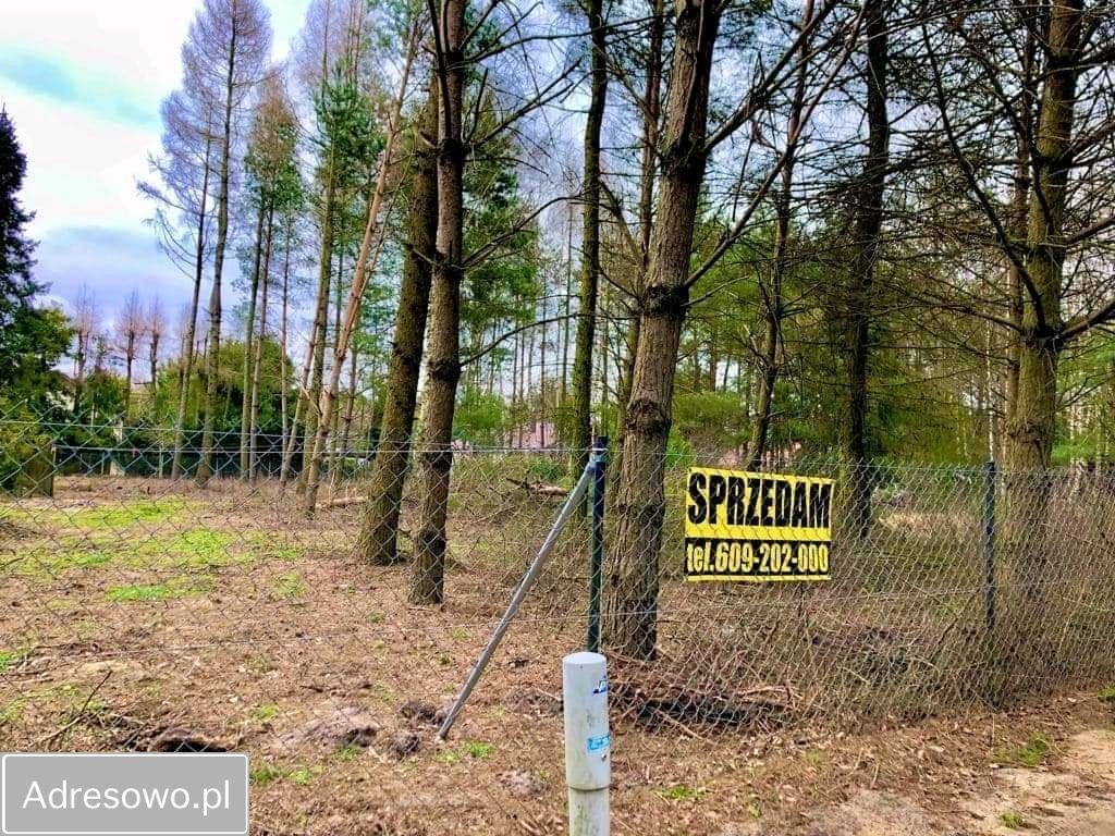 Działka Ldzań. Zdjęcie 10