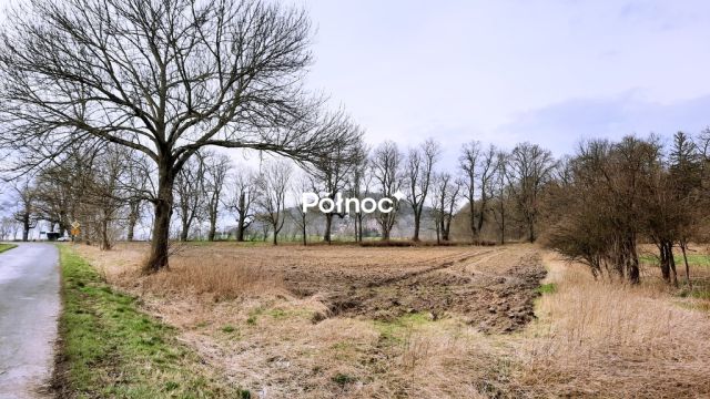 Działka Grodziec. Zdjęcie 9