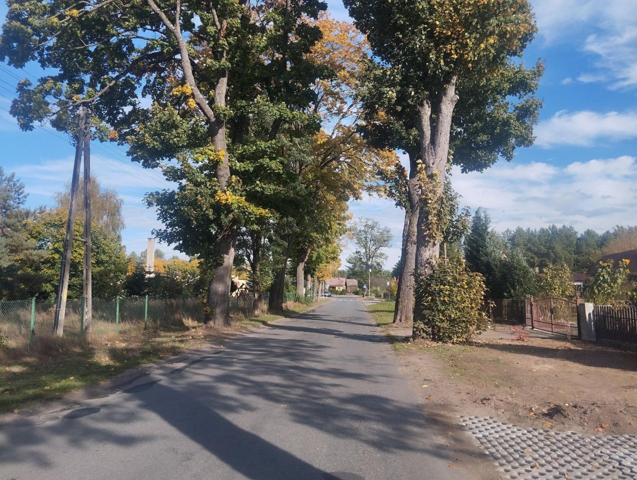 Działka budowlana Łasko. Zdjęcie 6