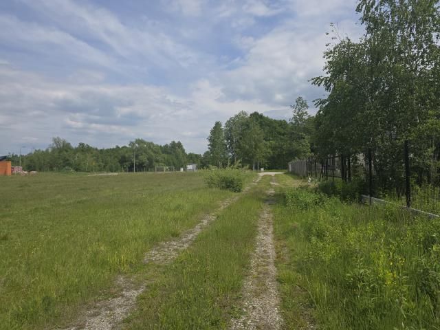 Działka Mostówka. Zdjęcie 3