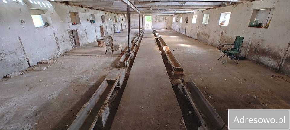 Działka rolno-budowlana Barnówko. Zdjęcie 9