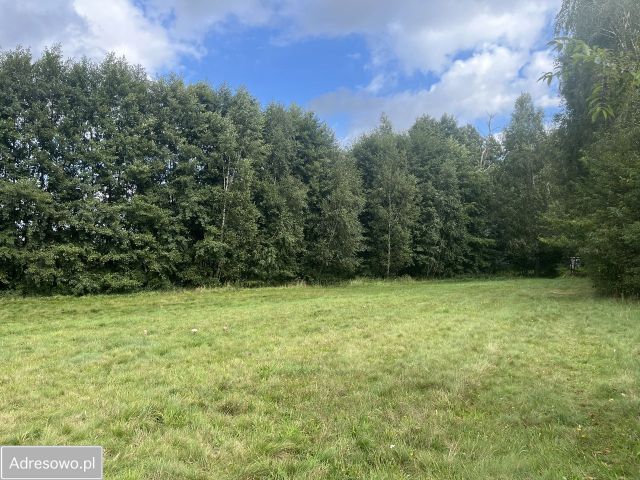 Działka budowlana Września. Zdjęcie 1