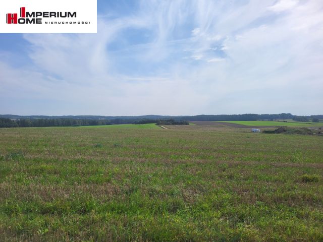 Działka budowlana Dzięcielec. Zdjęcie 5