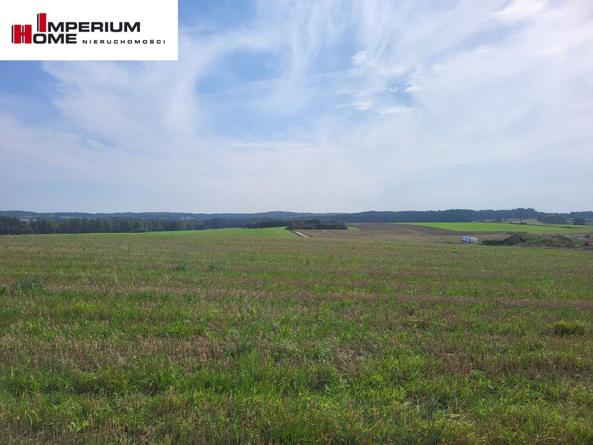 Działka budowlana Dzięcielec. Zdjęcie 5