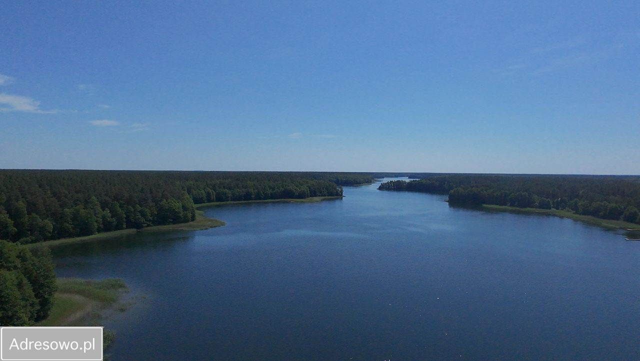 Działka rolno-budowlana Marksewo. Zdjęcie 2