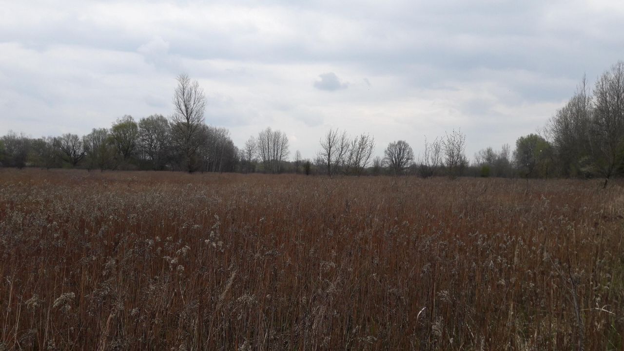 Działka rolna Warszawa Wawer, ul. Wał Miedzeszyński. Zdjęcie 2