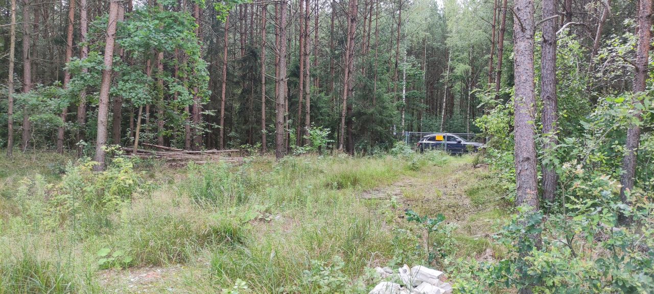 Działka budowlana Kieźliny, ul. Romana Domagały. Zdjęcie 4