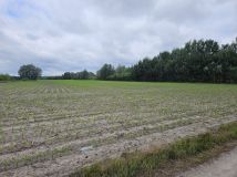Działka rolna Dorohusk