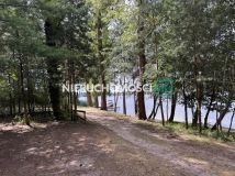 Działka leśna Głębockie Pierwsze. Zdjęcie 4