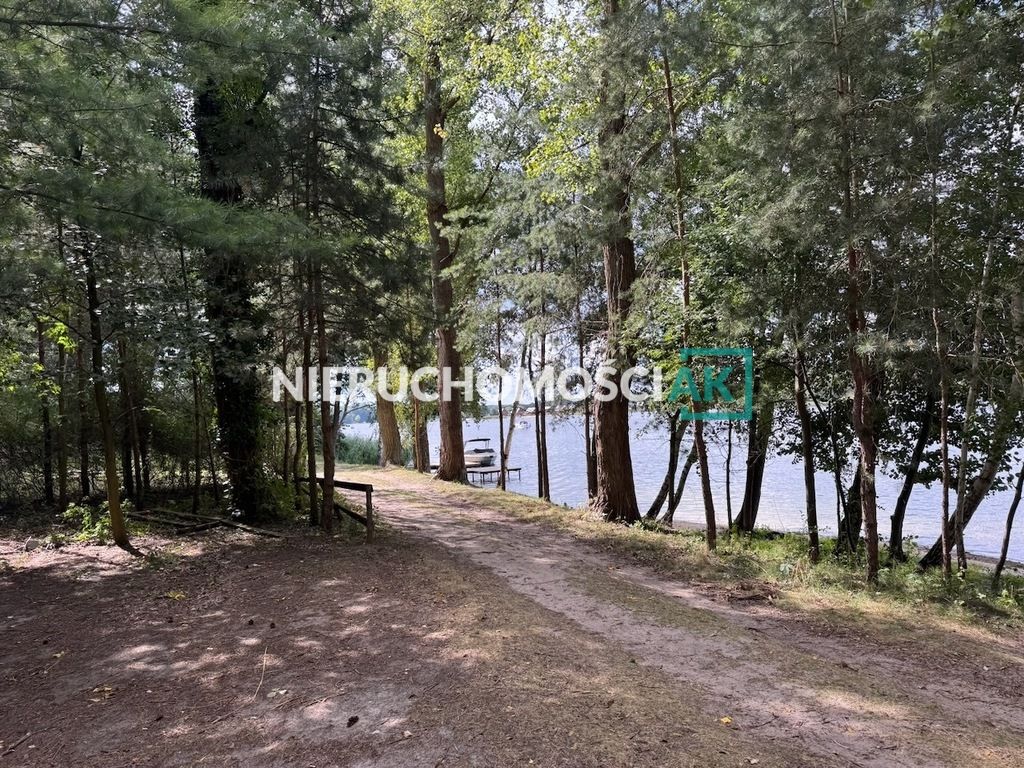 Działka leśna Głębockie Pierwsze. Zdjęcie 6