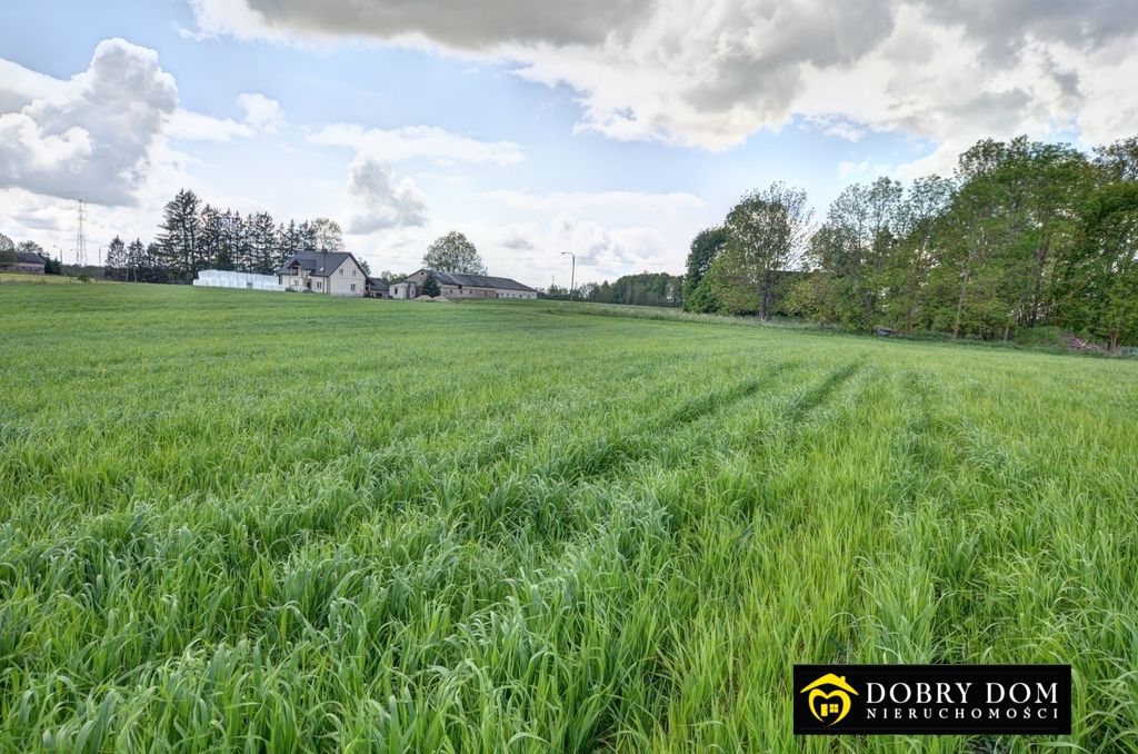 Działka budowlana Stara Chmielówka. Zdjęcie 3