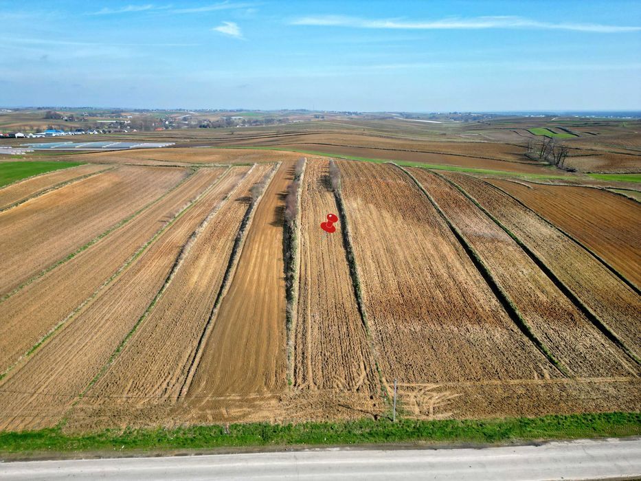 Działka rolno-budowlana Rudno Górne. Zdjęcie 5