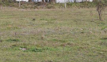 Działka rolno-budowlana Tanowo