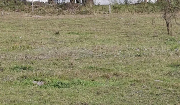 Działka rolno-budowlana Tanowo