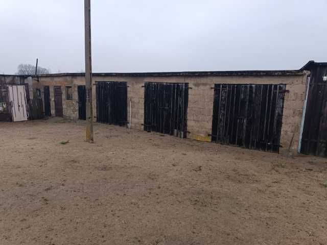 siedlisko Siarzewo. Zdjęcie 5