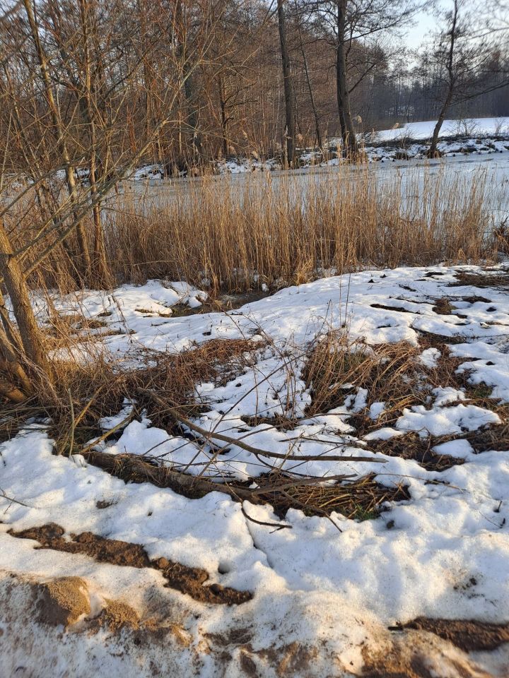 Działka budowlana Dębinka. Zdjęcie 4