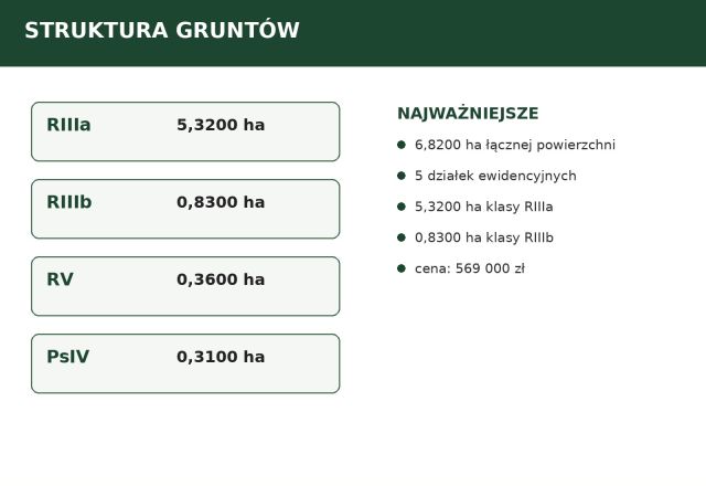 Działka rolno-budowlana Dąbie. Zdjęcie 3
