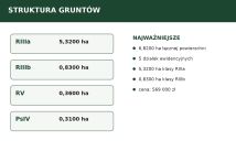 Działka rolno-budowlana Dąbie. Zdjęcie 4