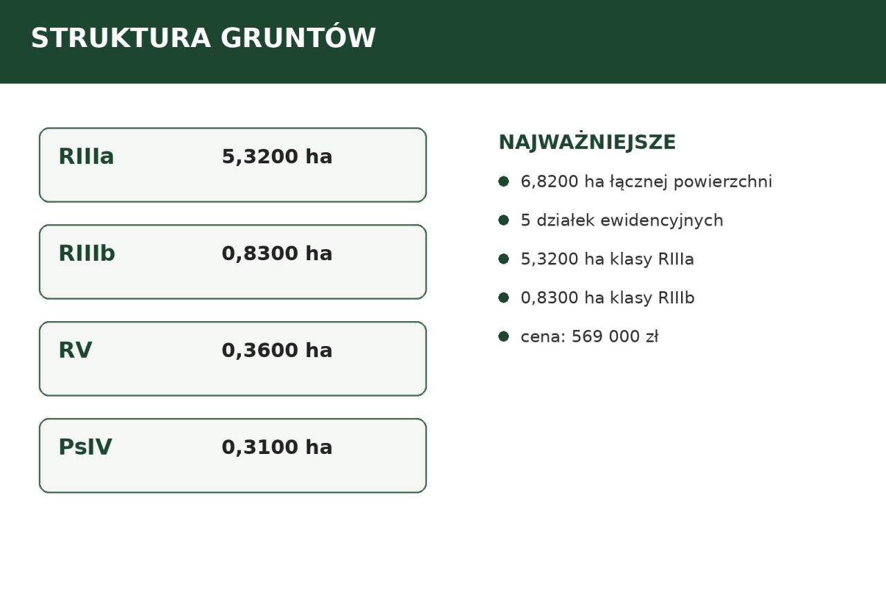 Działka rolno-budowlana Dąbie. Zdjęcie 3