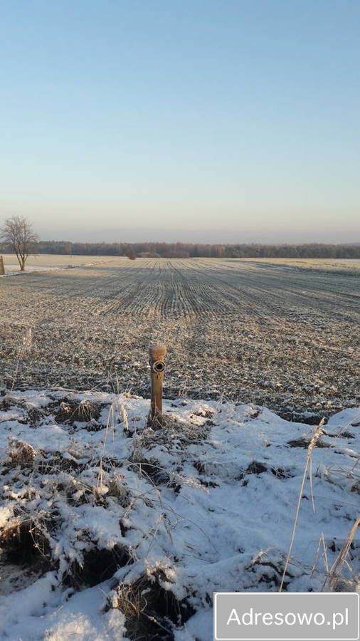 Działka rolno-budowlana Sepno-Radonia. Zdjęcie 1