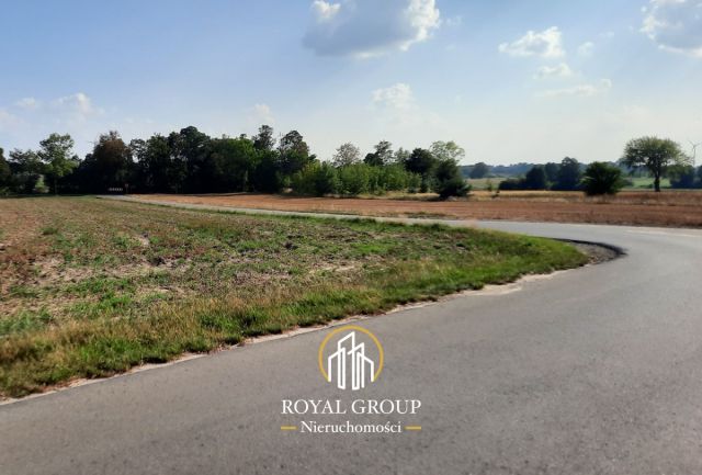 Działka rolna Rudno. Zdjęcie 2