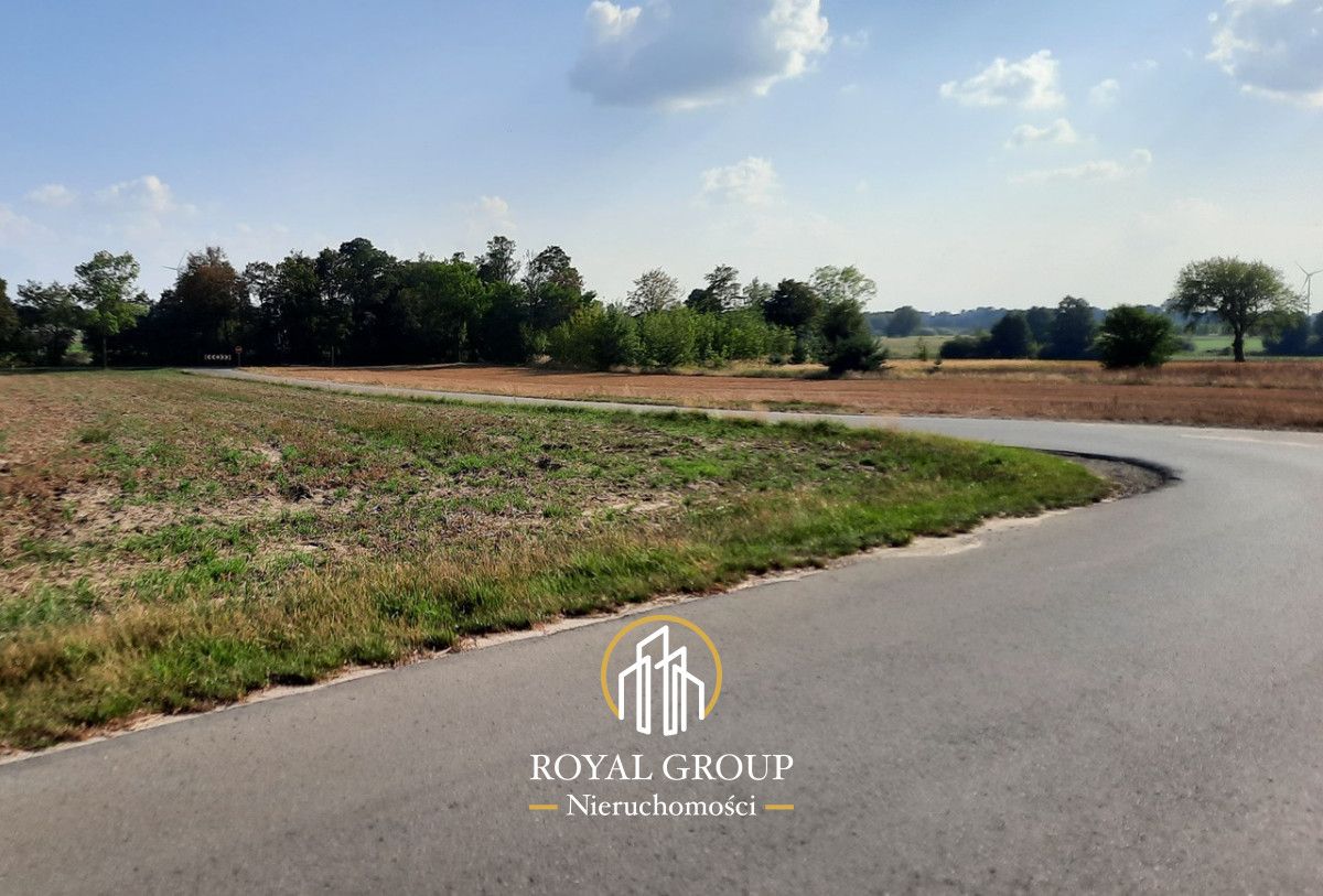 Działka rolna Rudno. Zdjęcie 2