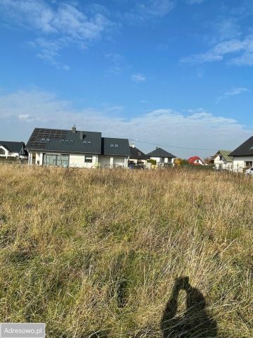 Działka rolno-budowlana Bieniewice. Zdjęcie 1