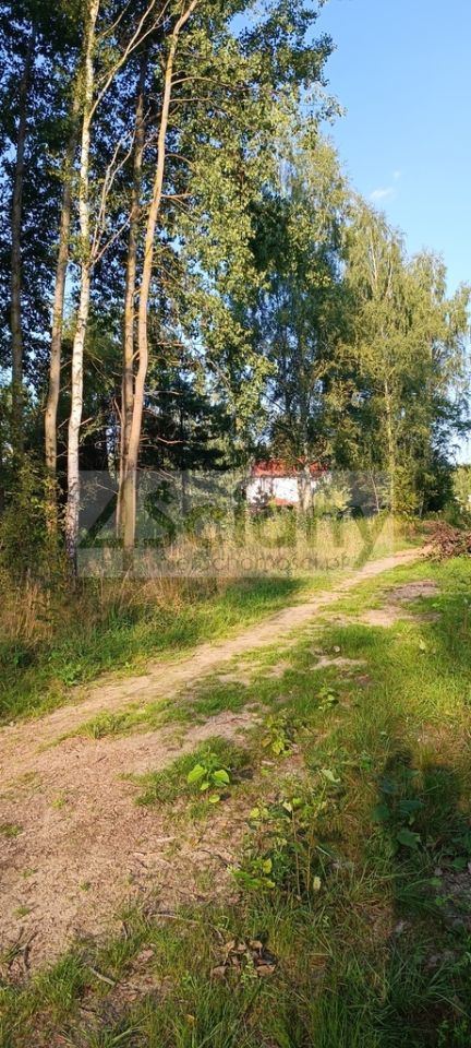 Działka budowlana Czarny Las. Zdjęcie 5