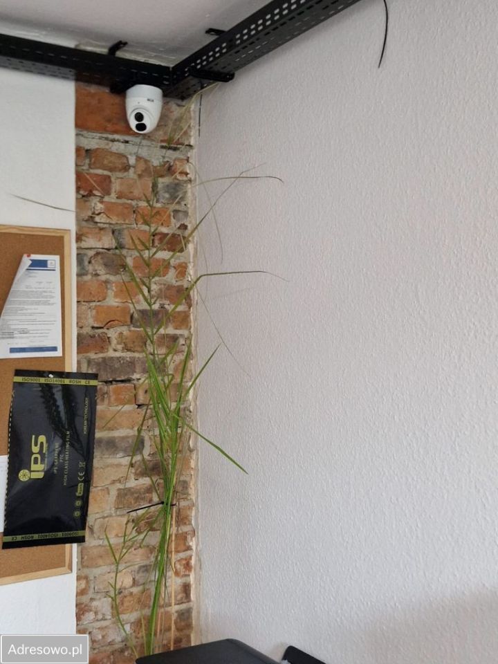 Lokal Racibórz, ul. Karola. Zdjęcie 7