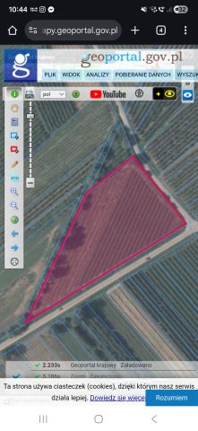 Działka rolna Brzozowa. Zdjęcie 1