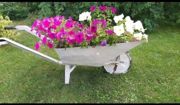 Działka rod Gniezno