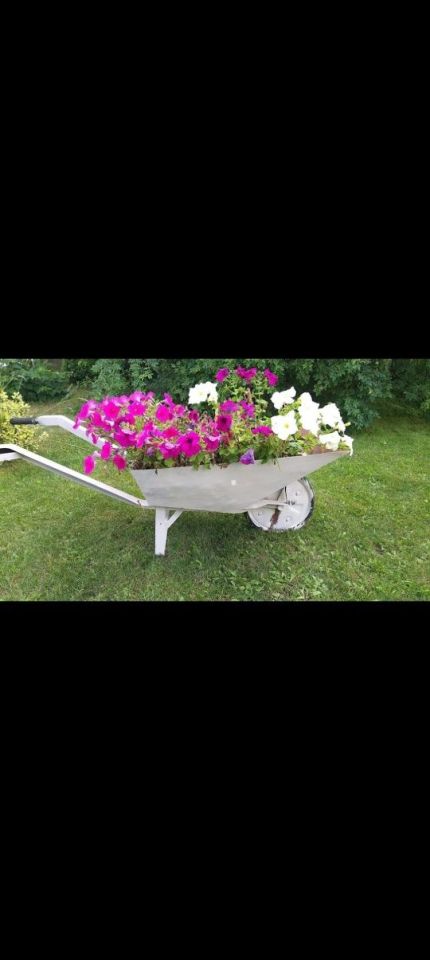 Działka rod Gniezno. Zdjęcie 2