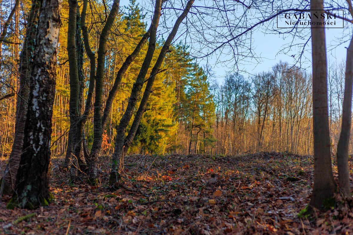 Działka budowlana Zaczarnie. Zdjęcie 14
